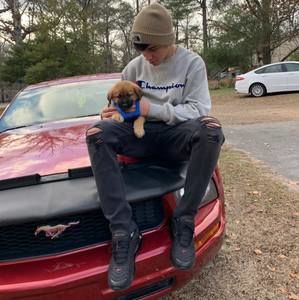 Meet your Posher, Oscar